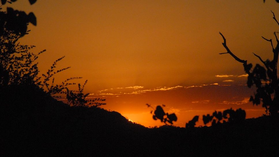 erfahrungsberichte-suedliches-afrika-fgl1-rangerausbildung-wildnis-nacht-natucate