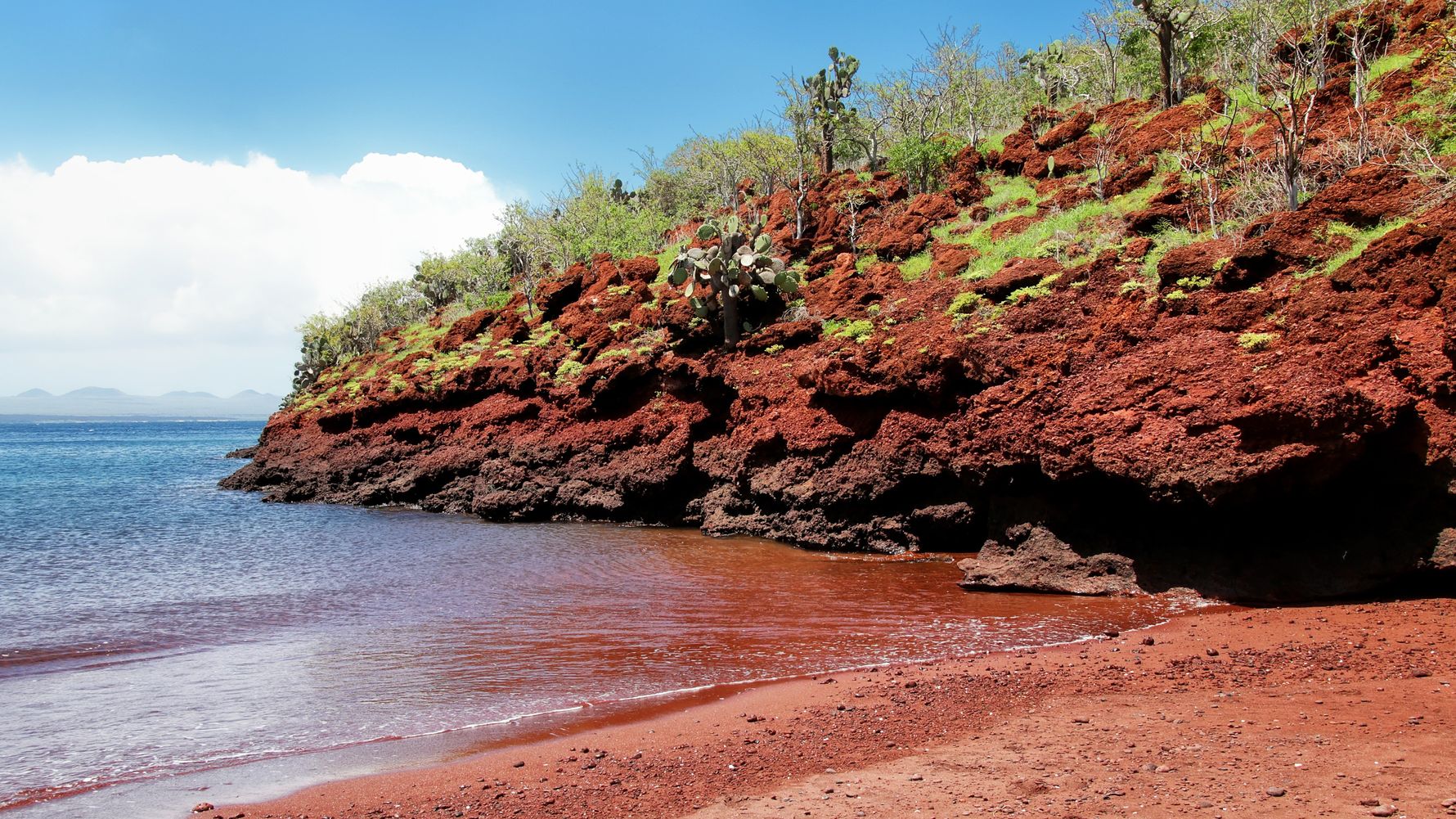 natucate-blog-ecuador-travel-guide-galapagos-beach-red