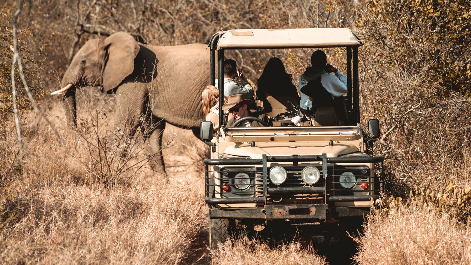 freiwilligenarbeit-suedafrika-siyafunda-wildlife-monitoring-game-drive-natucate