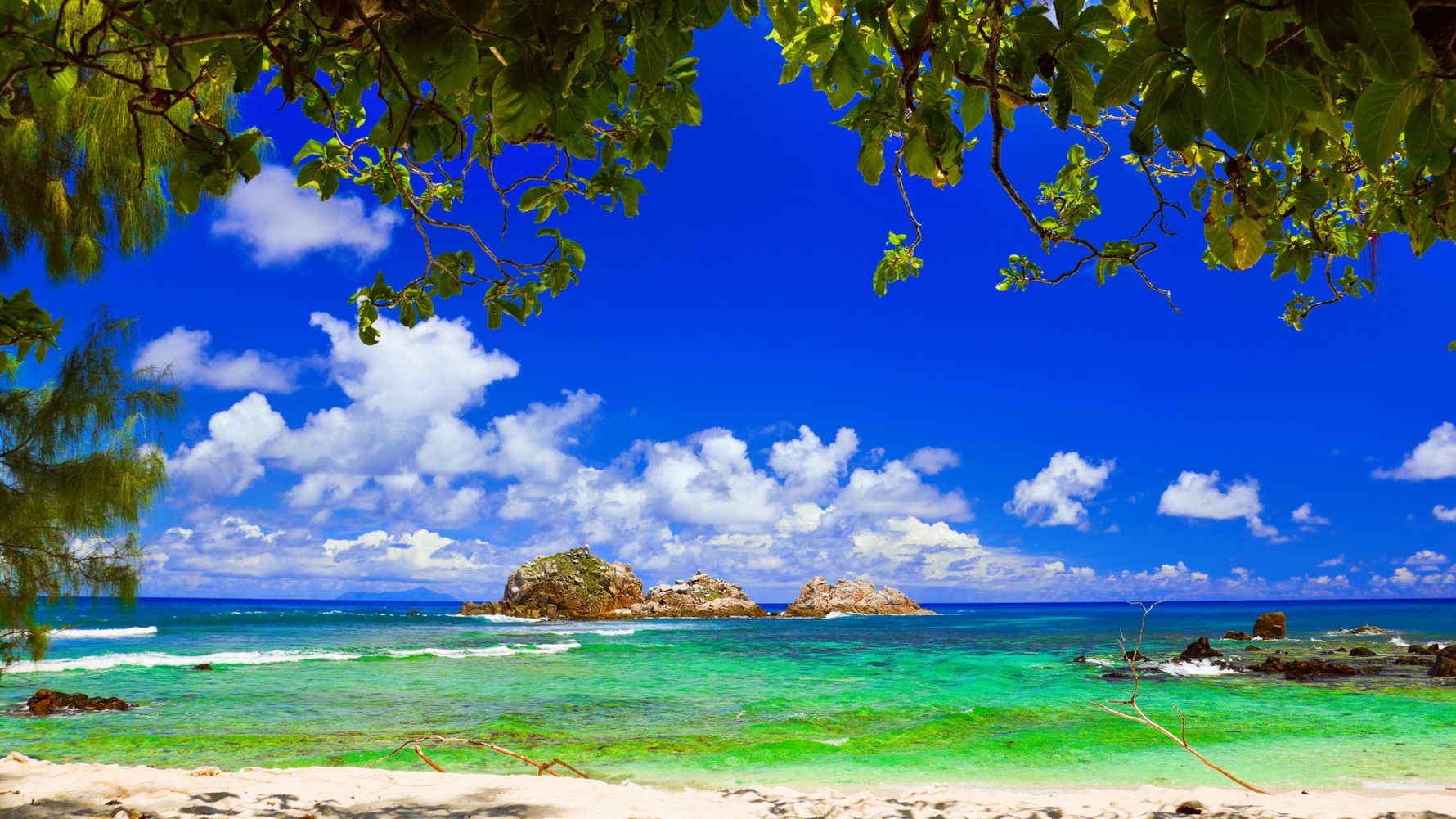 blog-ratgeber-seychellen-cousin-island-meer-natucate