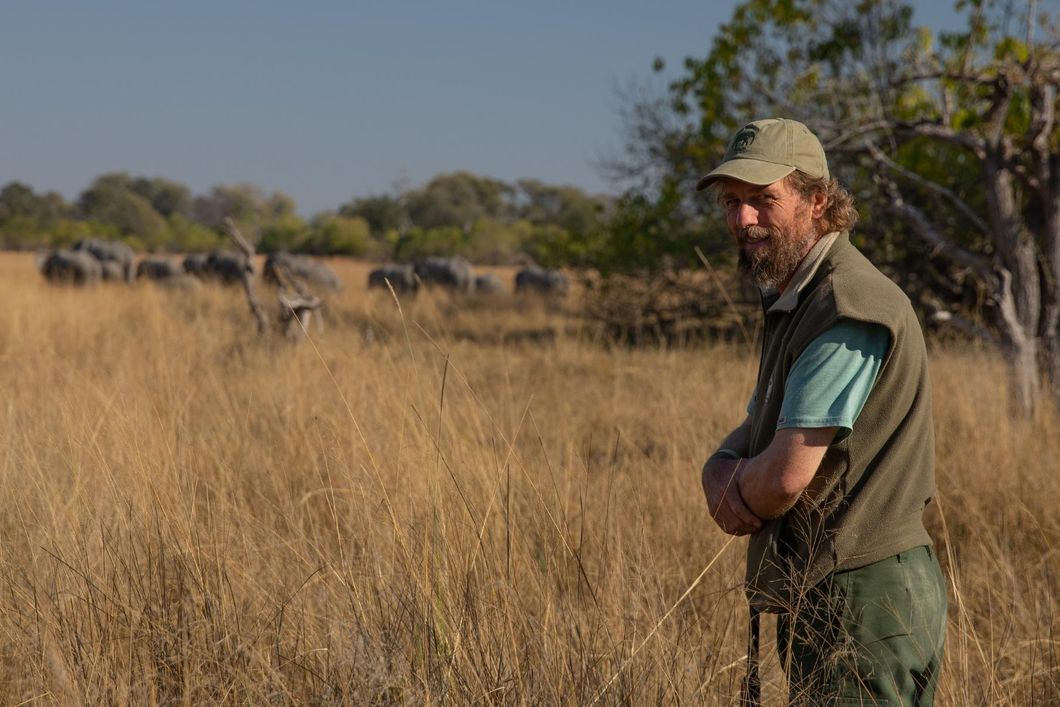 Alan, einer unserer Hauptguides auf der Private Wilderness Experience, leitet die Reisegruppe an eine Begegnung mit Elefanten heran