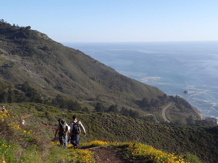 blog-ratgeber-haeufig-gestellte-fragen-freiwilligenarbeit-usa-kalifornien-natucate