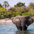 reiseorte-sambia-kafue-nationalpark-elefanten-natucate