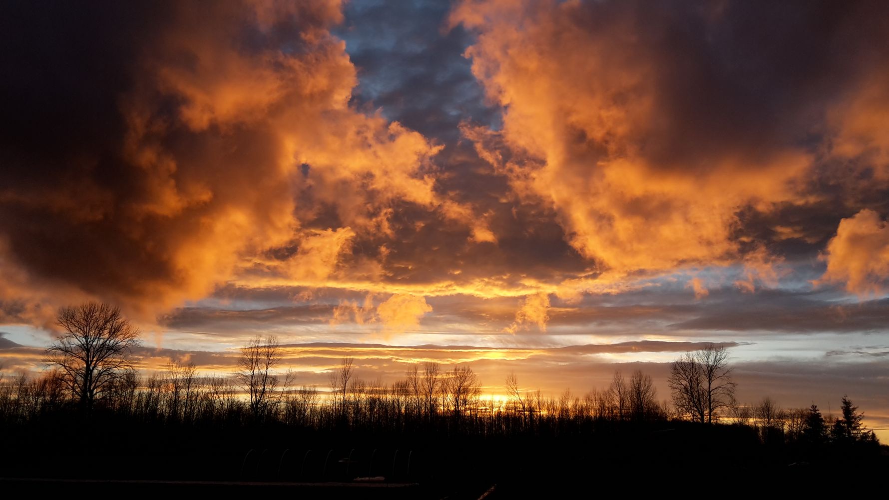 erfahrungsbericht-praktikum-usa-landwirtschaft-landschaft-natucate