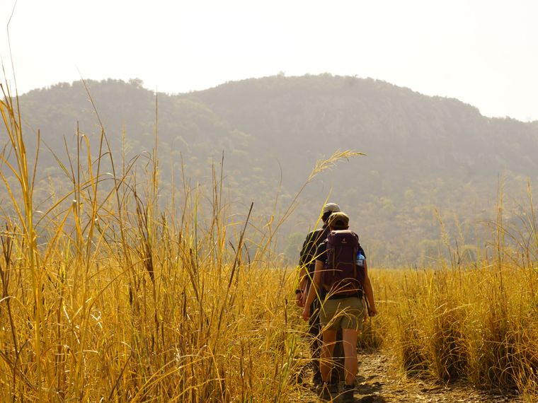 Der Natur- und Rangerkurs macht eine Pirschwanderung durch den botswanischen Busch
