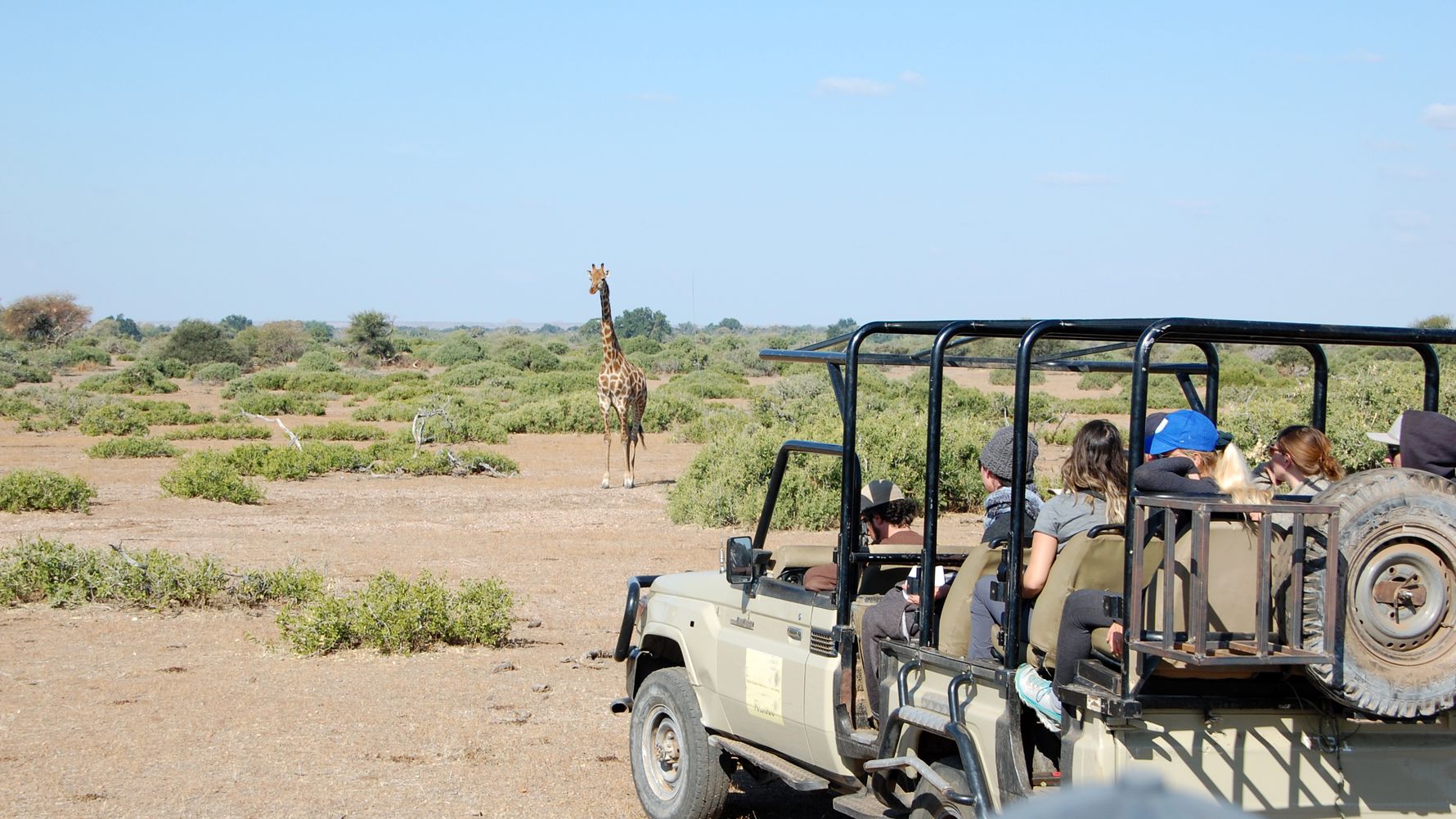 Game Drive Afrika: Safari-Gaeste auf einer Pirschfahrt in Botswana beobachten eine Giraffe