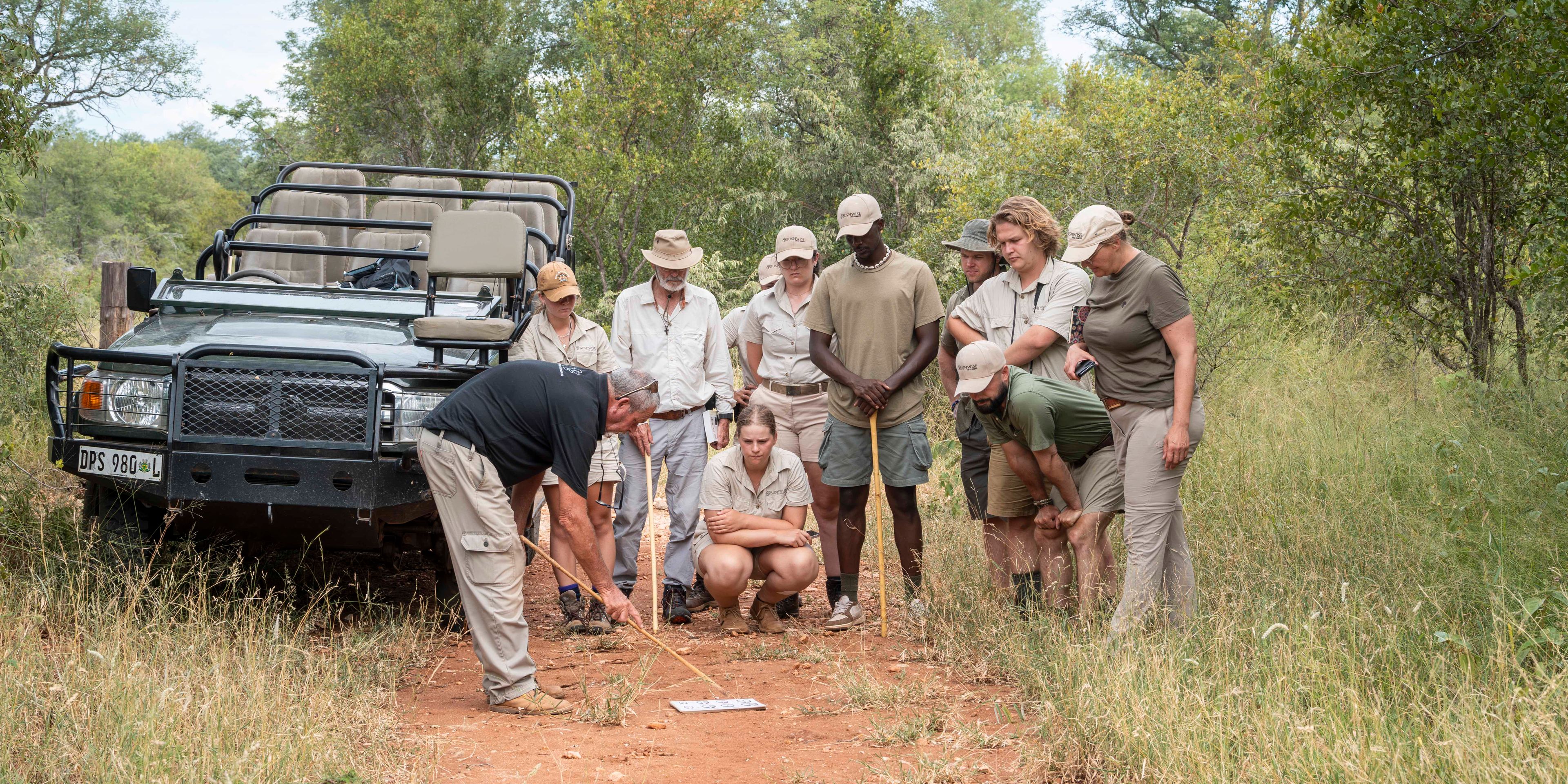 Group next to car reading tracks