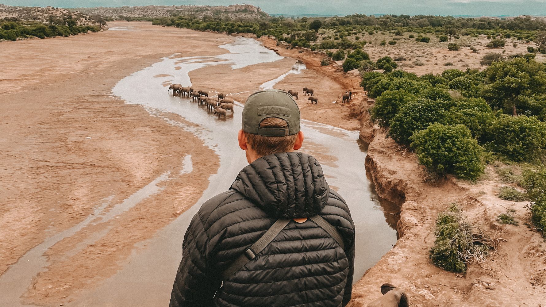 landingpage-rangerkurse-suedafrika-field-guide-elefanten-natucate