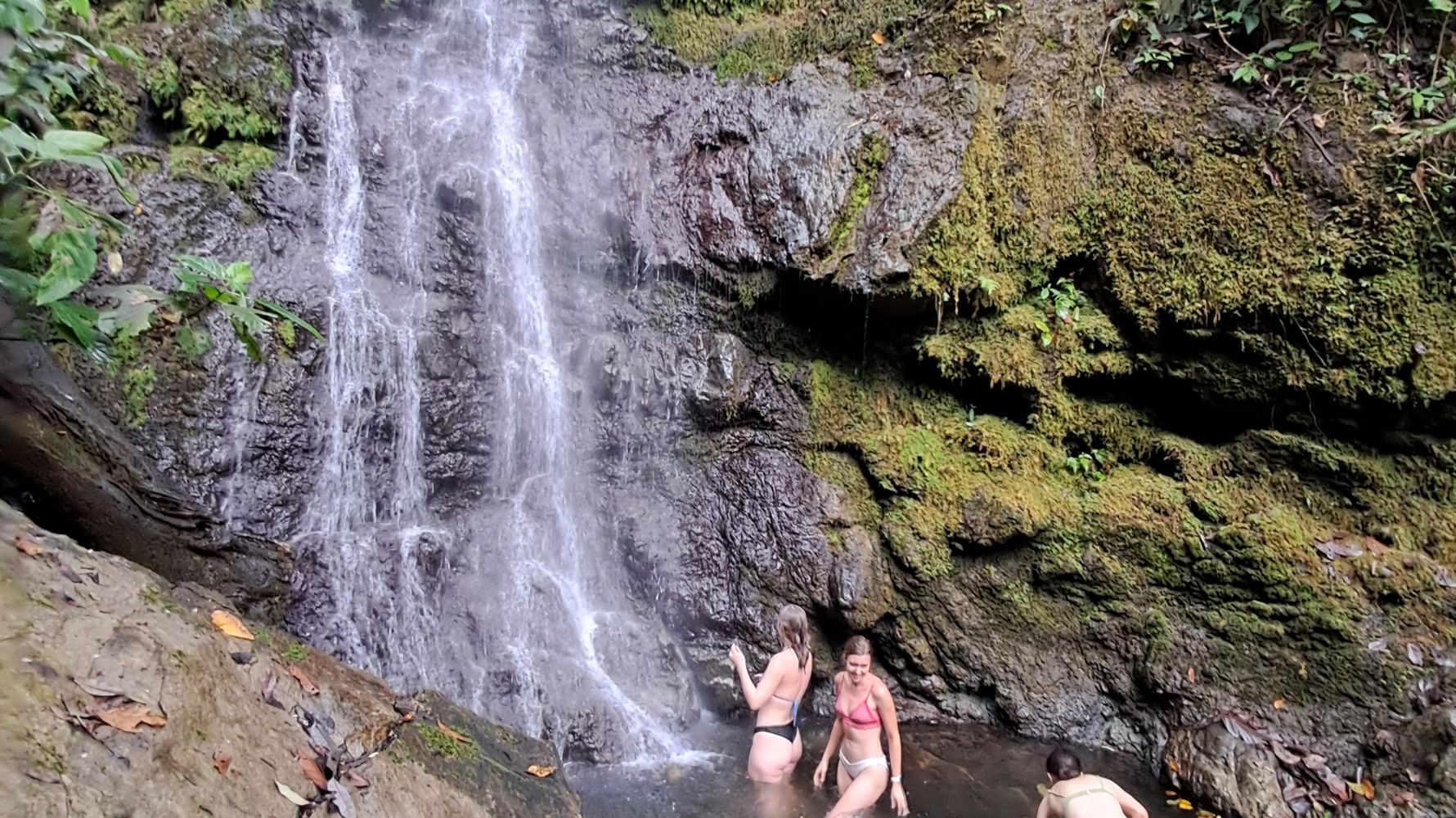 natucate-review-costa-rica-turtle-amelie-waterfall