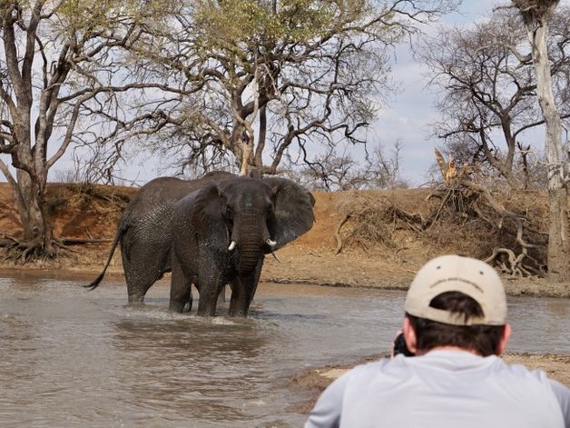 erfahrungsberichte-rangerkurse-field-guide-level-1-linda-elefant-im-wasser