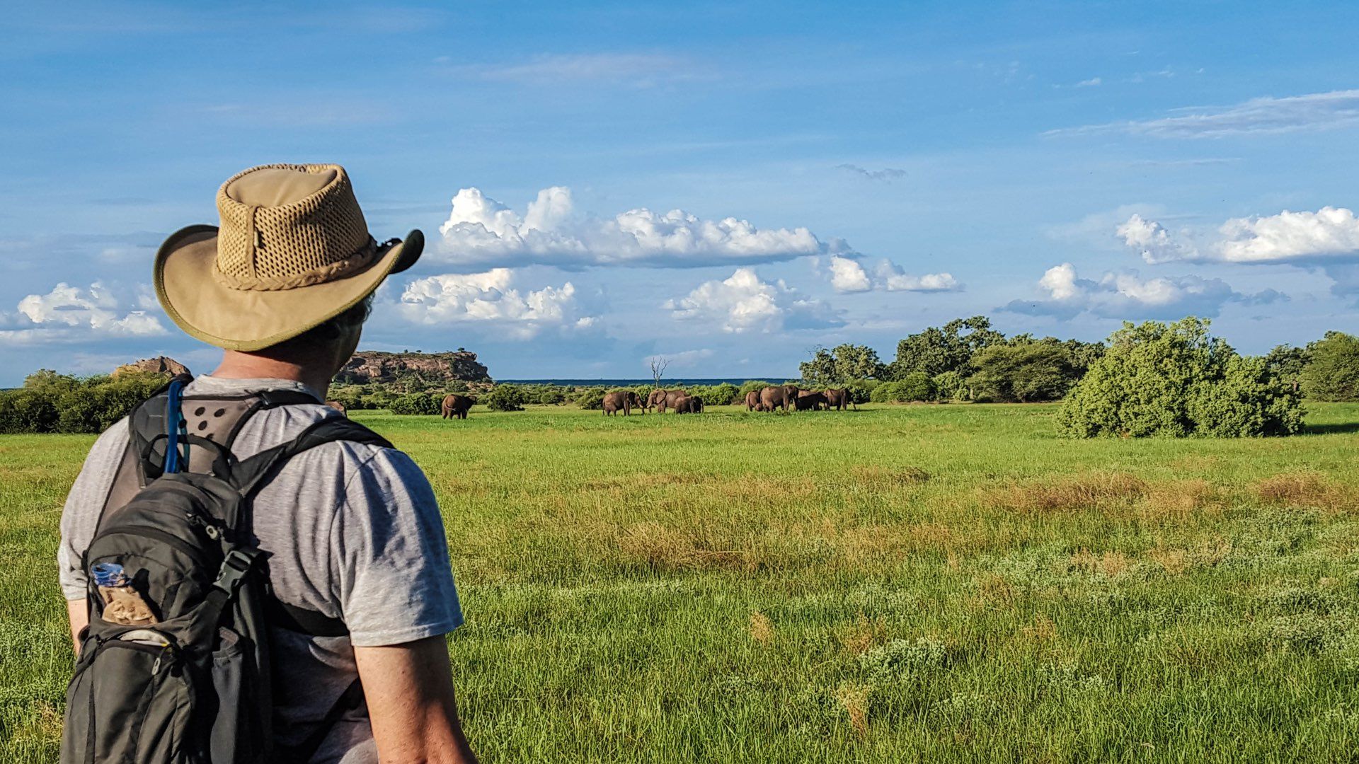 Ein Praktikant im Okavango Delta beobachtet eine Elefanten auf einer Grasebene