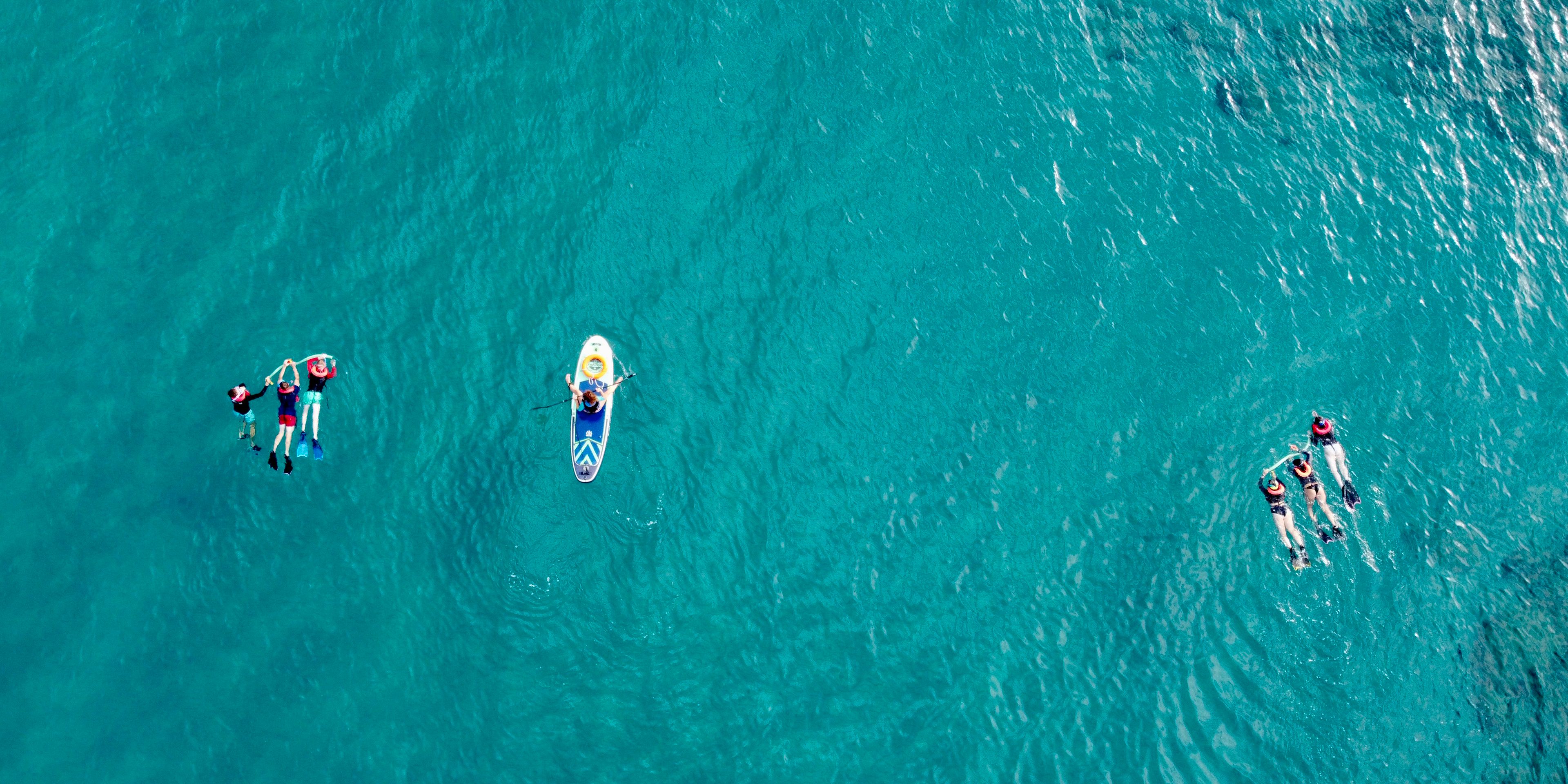 natucate-volunteering-greece-aerial-view-sup-turle-marine-conversation