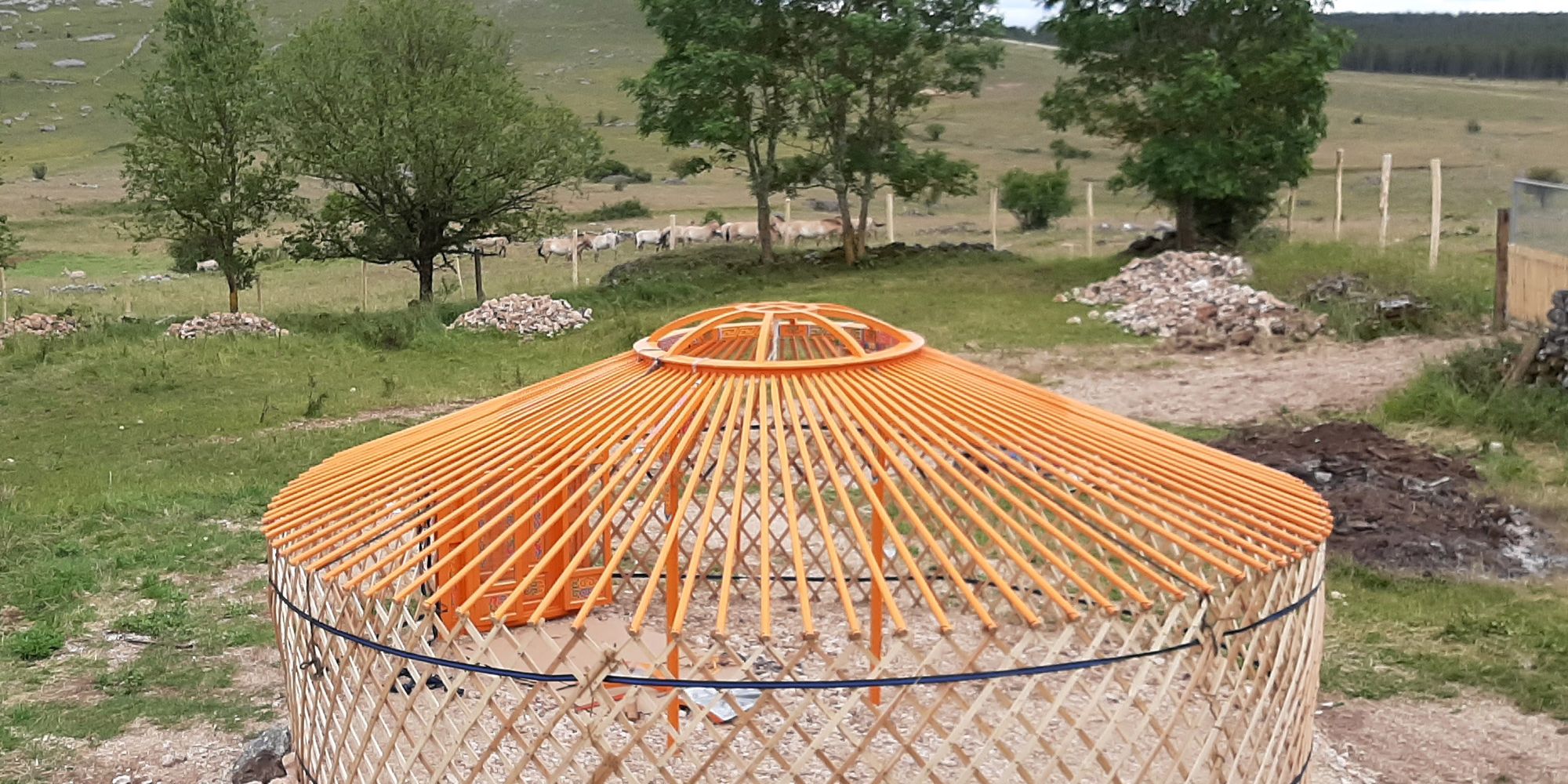Die Mongolische Jurte, welche als Sommerladen dient, im Aufbau