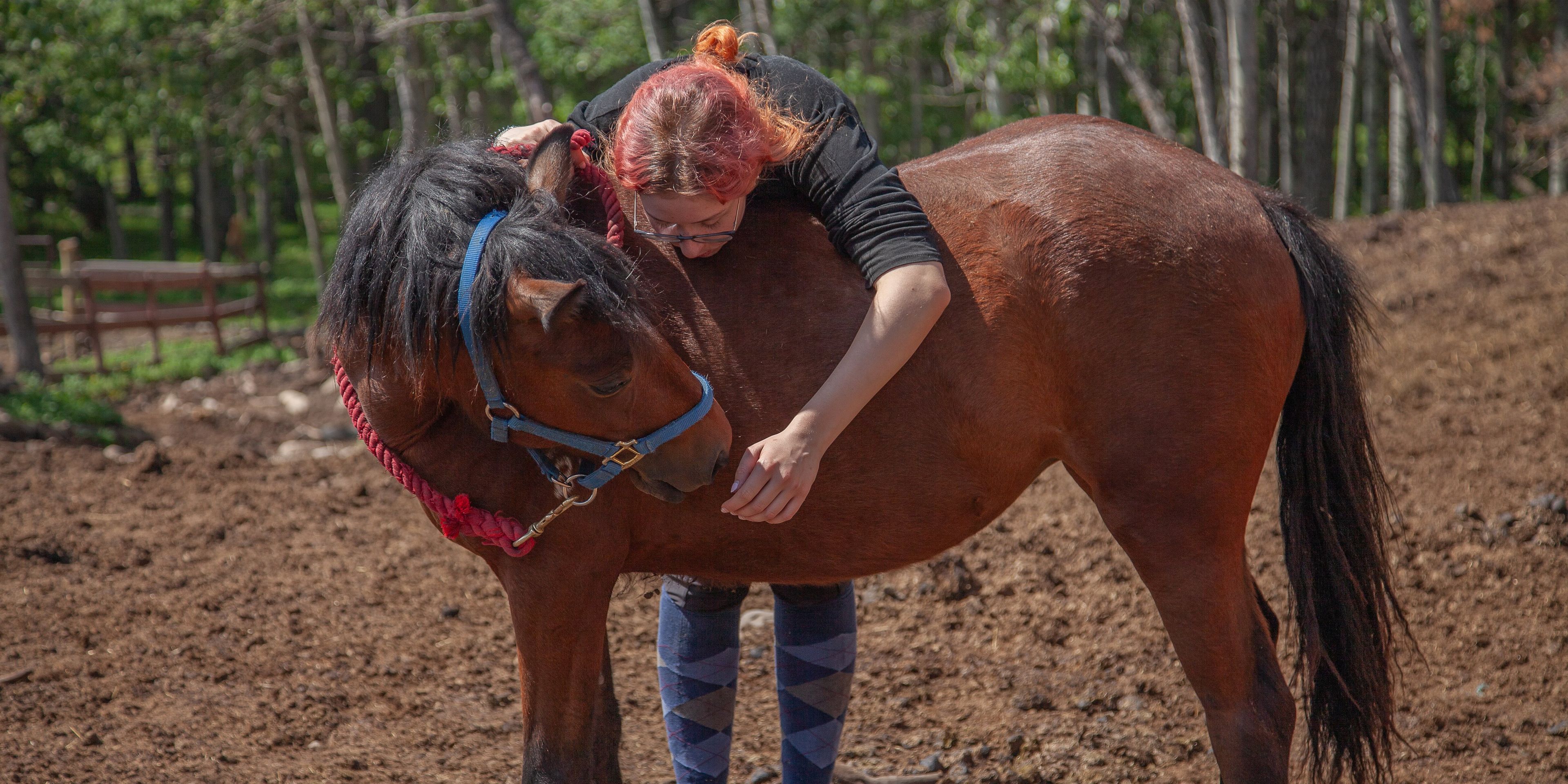 natucate-canada-freiwilligenarbeit-horses-volunteer-streicheln