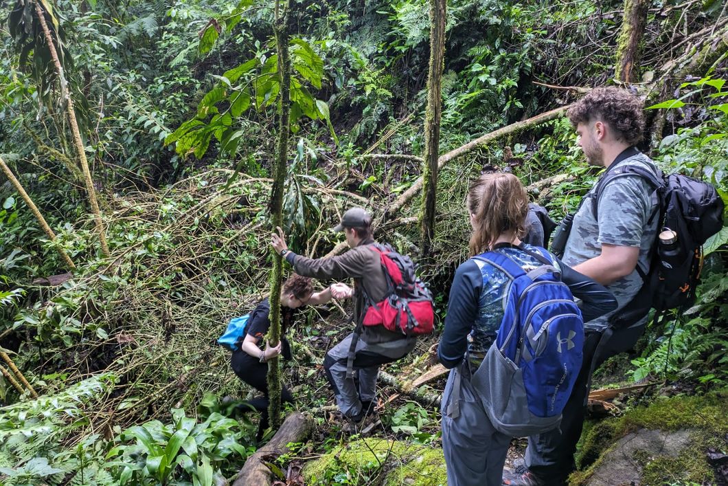 freiwilligenarbeit-costa-rica-waldschutz-wanderung