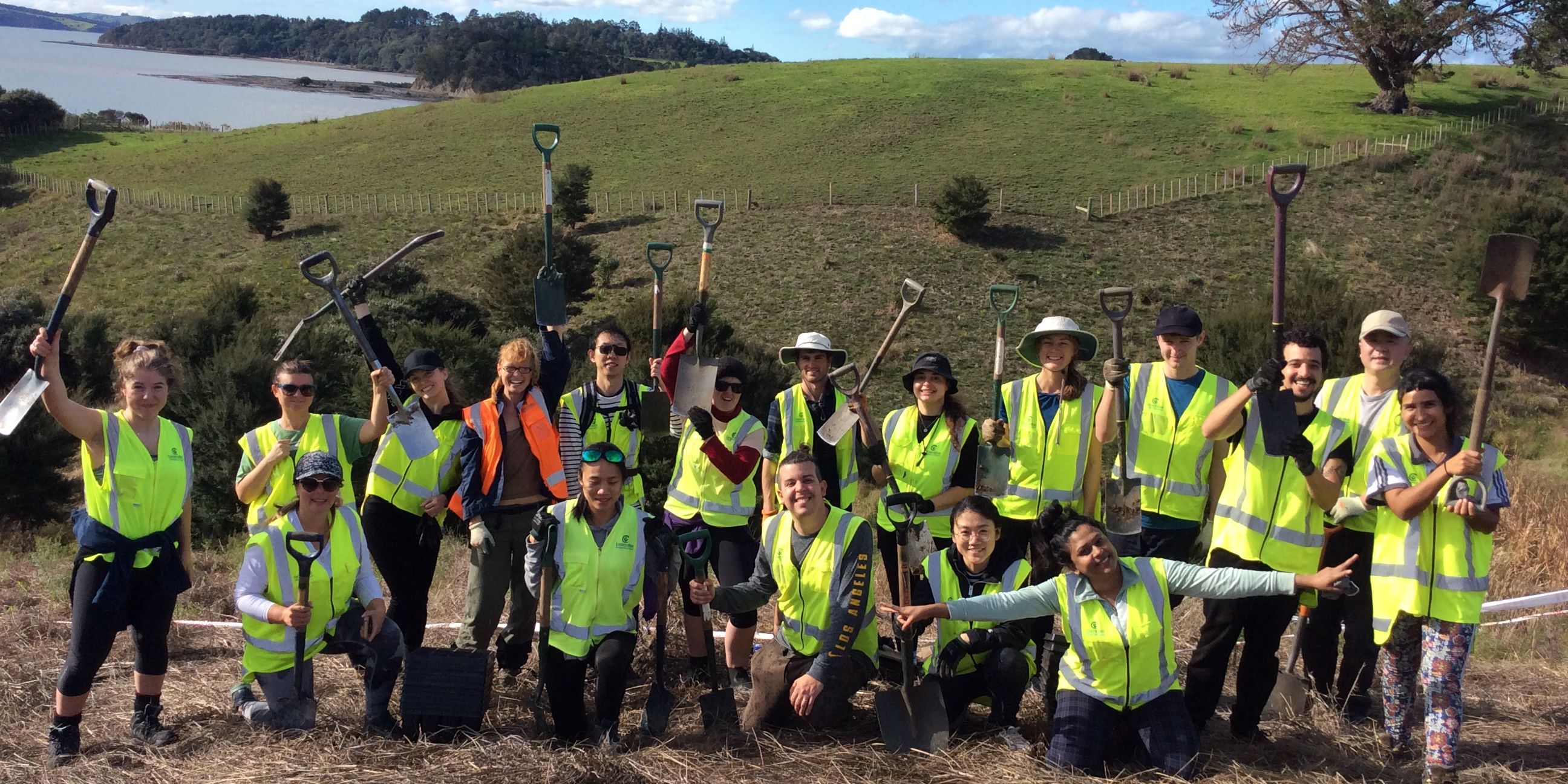 natucate-reisen-freiwilligenarbeit-neuseeland-atiu-creek-regional-park-auckland