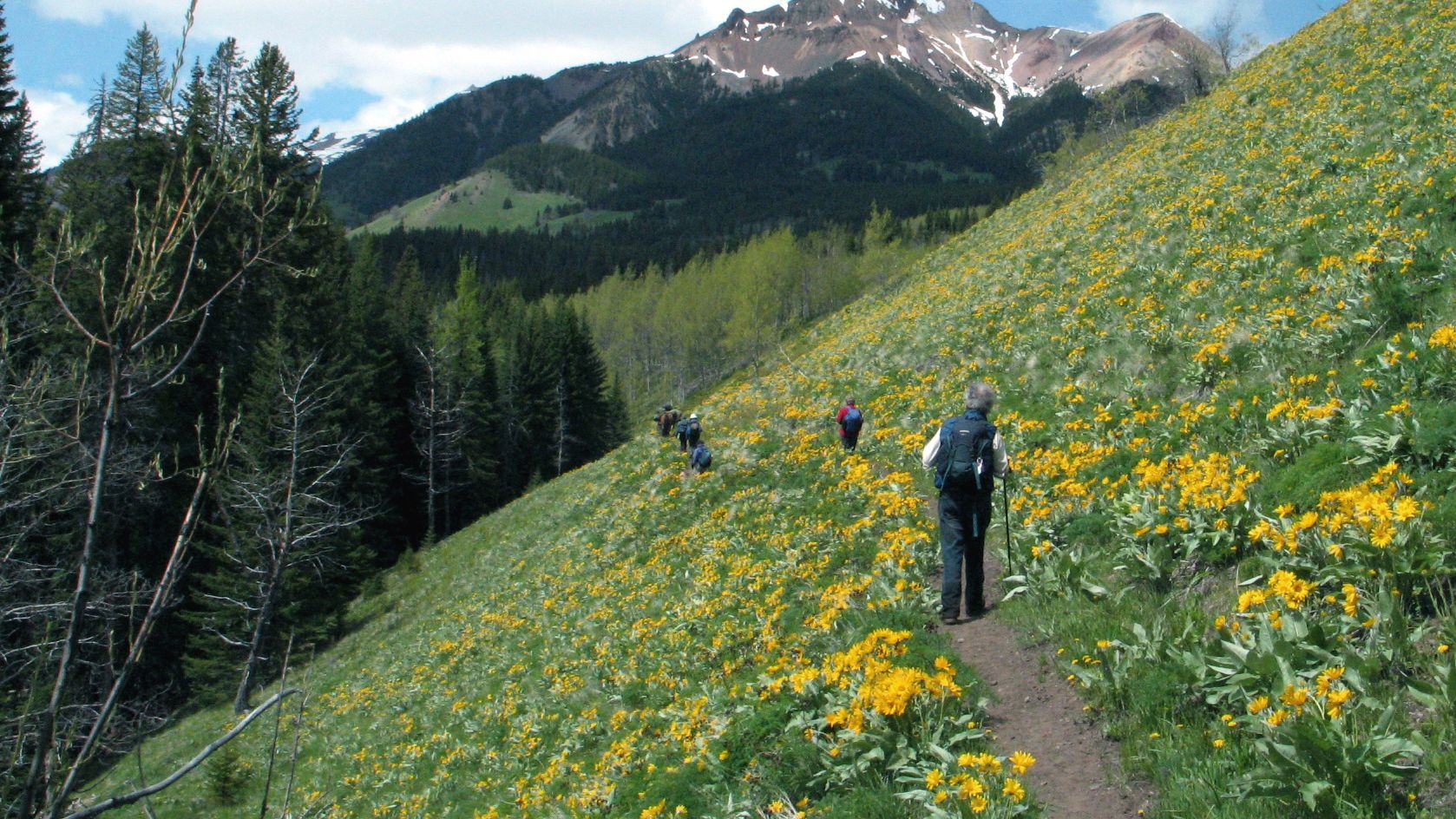 Trekking in Kanada: Teilnehmer des Hiking Guide-Kurses bei einer Wanderung durch die Natur von British Columbia