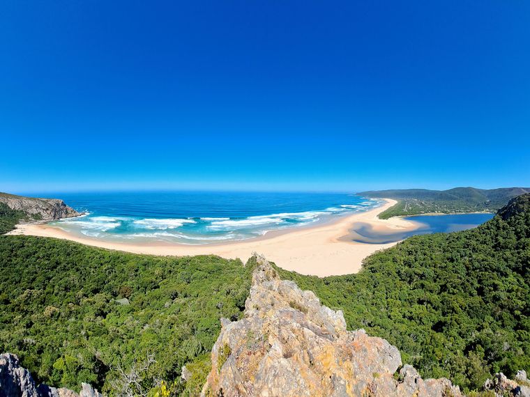 natucate-internship-south-africa-nature-valley-trust-forschung-strand-plettenberg-bay