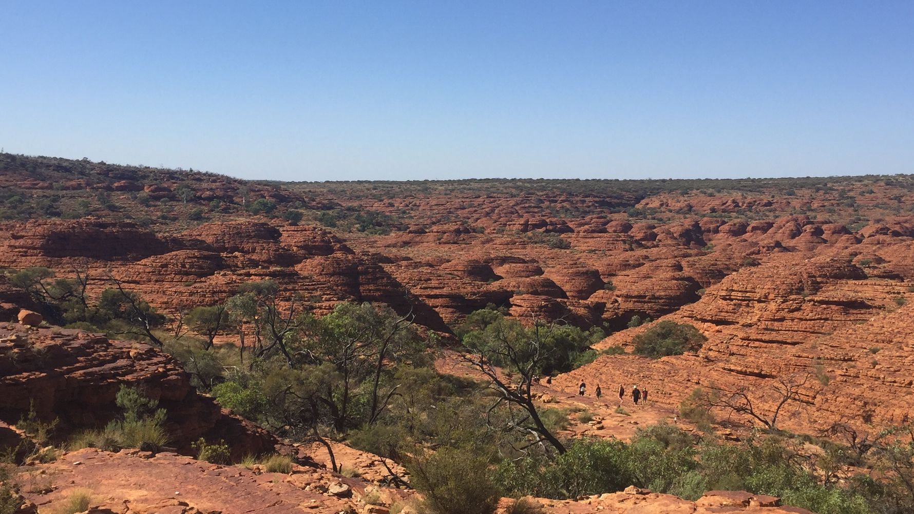 freiwilligenarbeit-australien-erfahrungsbericht-naturschutz-wildnis-natucate