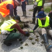erfahrungsberichte-freiwilligenarbeit-australien-naturschutz-maria-christine-teilnehmer-arbeit-natucate