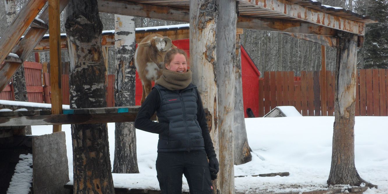 freiwilligenarbeit-kanada-tierschutz-pferdeschutz-alberta-volunteer-abroad