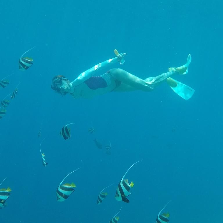 erfahrungsberichte-freiwilligenarbeit-malediven-walhaischutz-martina-schnorcheln-natucate