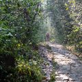 madagascar-laenderinformationen-andasibe-wanderweg
