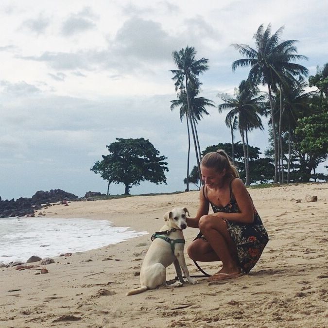 erfahrungsberichte-freiwilligenarbeit-thailand-ko-lanta-tierschutz-andrea-hund-strand-natucate