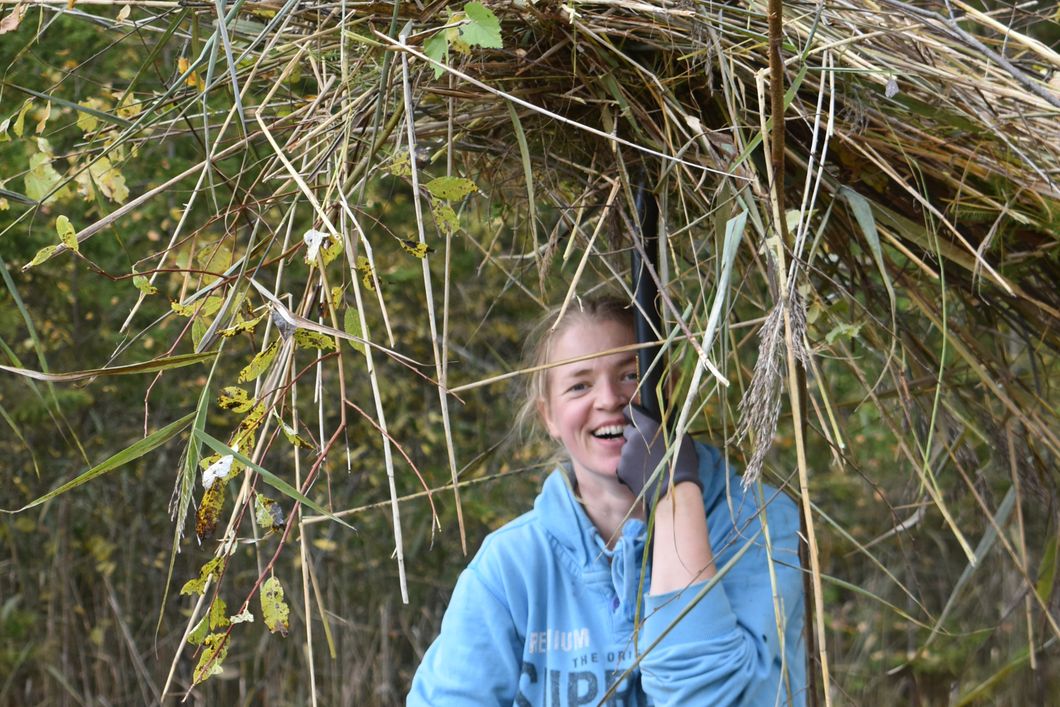 Freiwillige Helferin des Naturschutzprojekts in Estland entfernt Vegetation