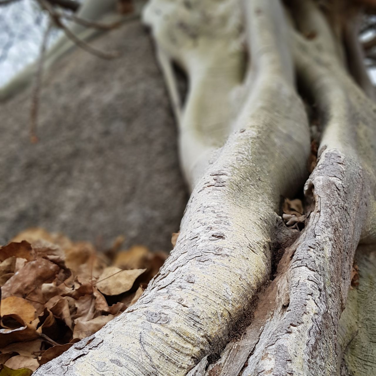 erfahrungsberichte-naturreise-suedafrika-ecoquest-sandra-wurzel-natucate