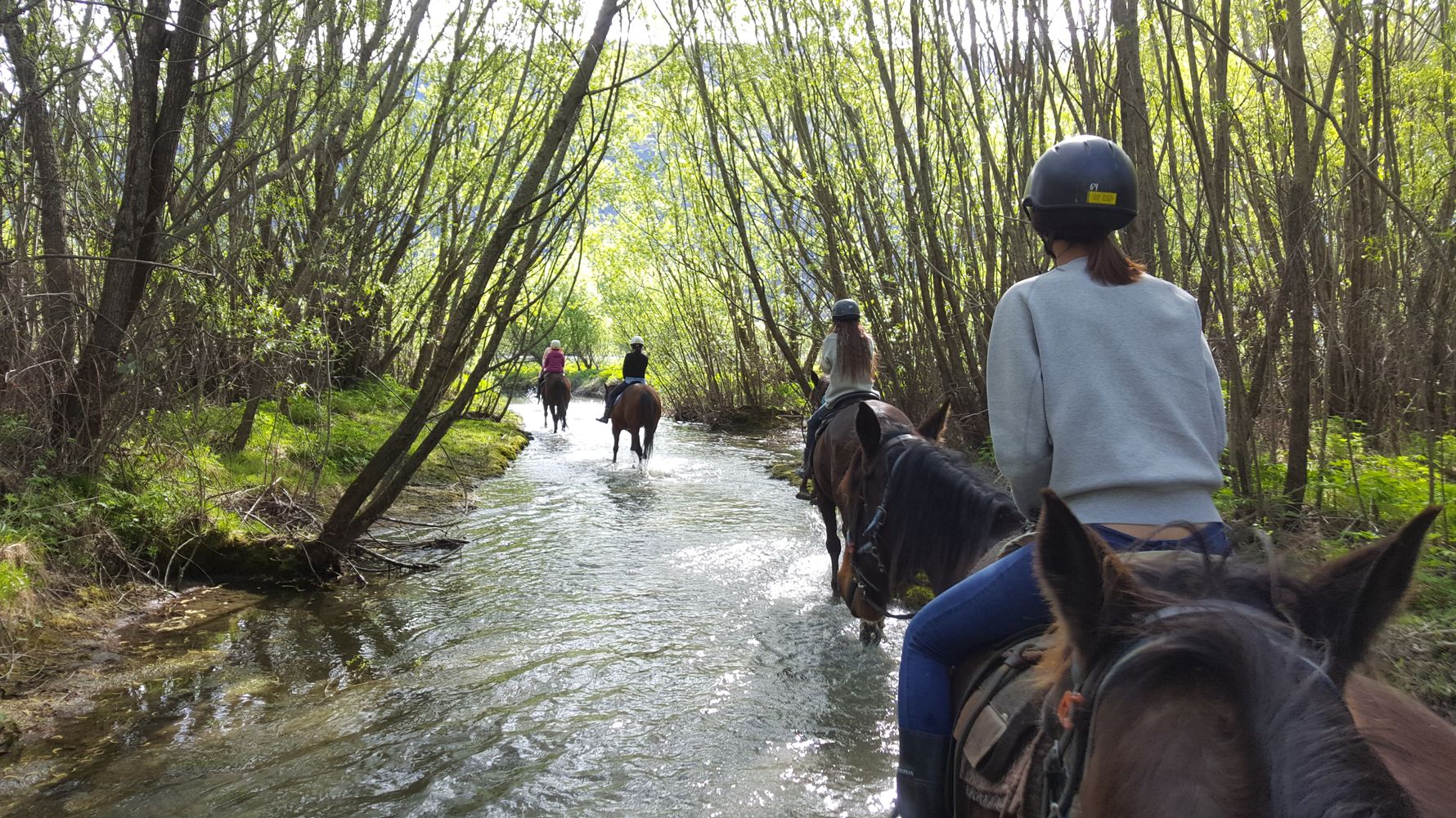 Horse volunteers on a horseback ride in the forest