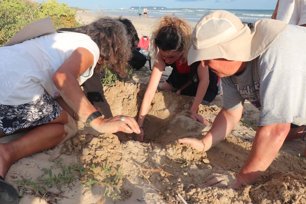 natucate-freiwilligendienst-ecuador-artenschutz-gruppe-freiwillige-meeresschildkroete-nester-lokalisieren