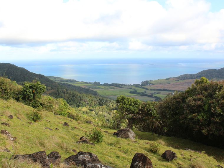 blog-ratgeber-mauritius-kestrel-valley-aussicht-natucate