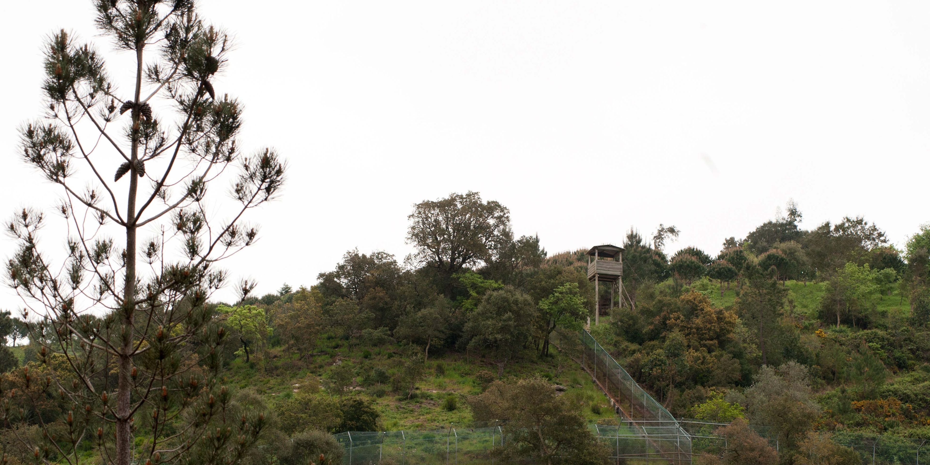 Riesige Wolfsgehege auf dem Gelaende des portugiesischen Wolfsschutzprojekts