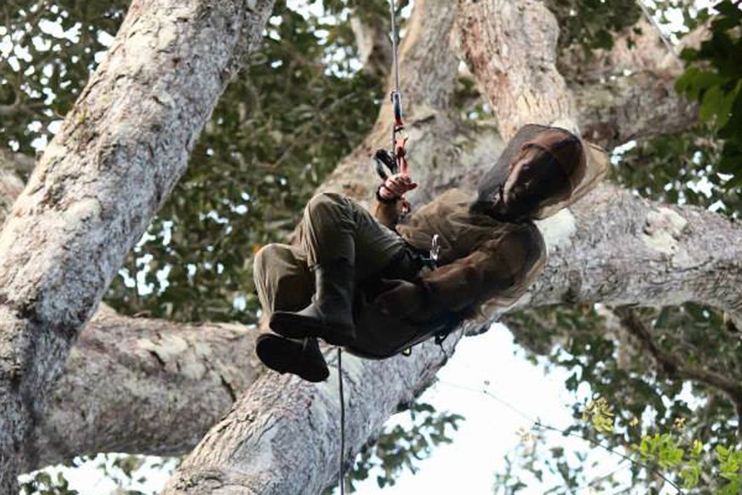 Ein Teilnehmer seilt sich von einem Baum, um Kamerafallen zu kontrollieren