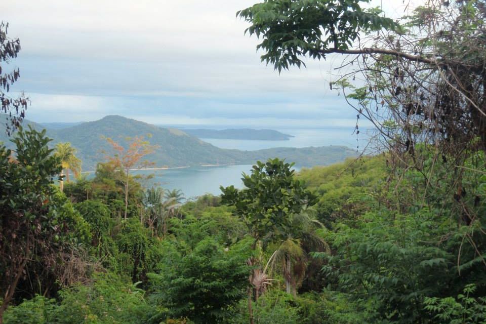 freiwilligenarbeit-madagaskar-afrika-artenschutz-regenwald-natucate