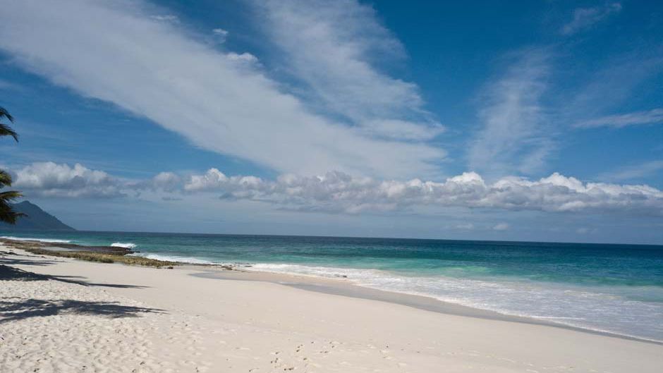 freiwilligenarbeit-seychellen-schildkroeten-artenschutz-natucate-7