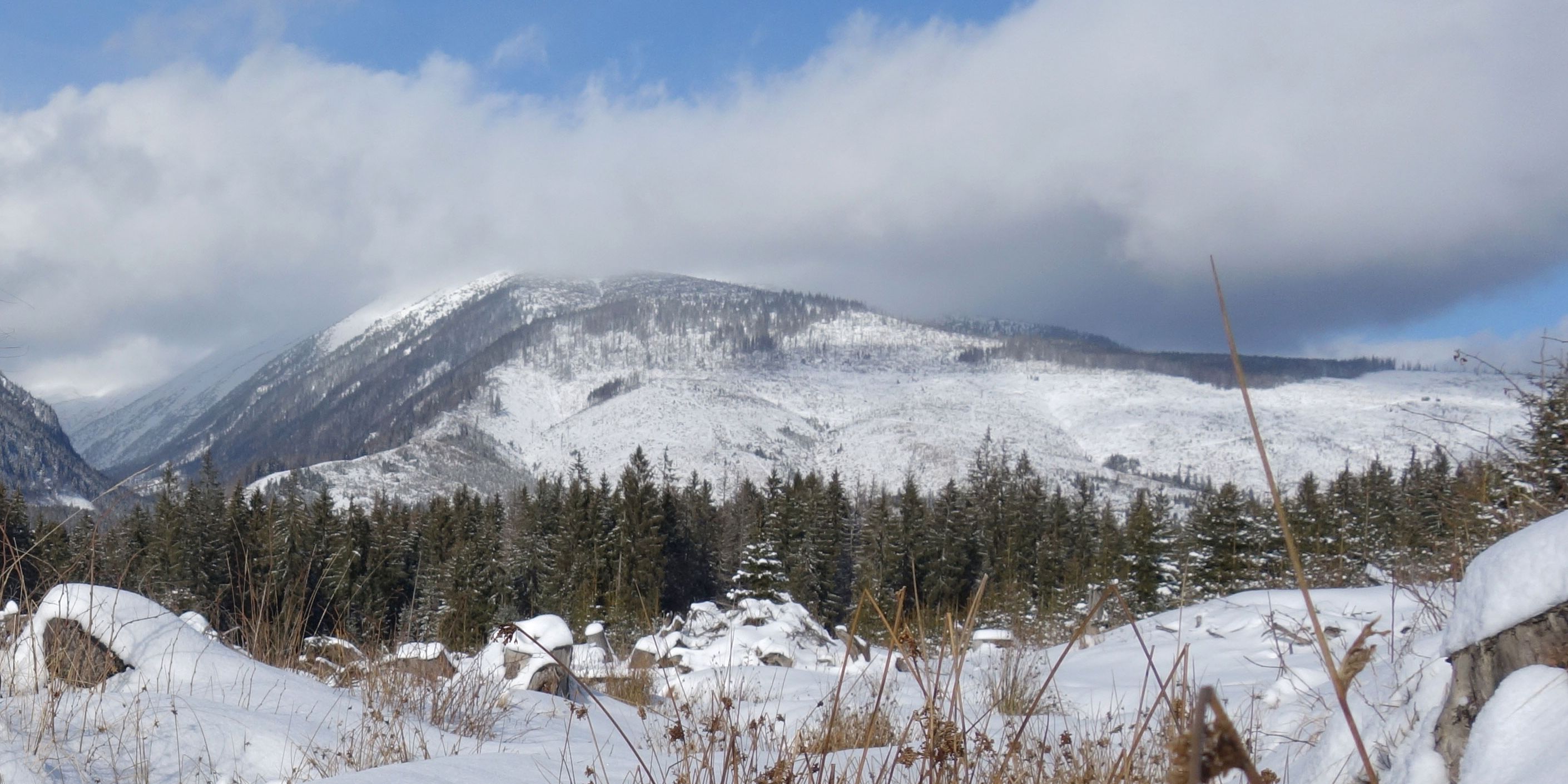 Blick auf die winterliche Berg- und Waldlandschaft von Liptau in der Slowakei
