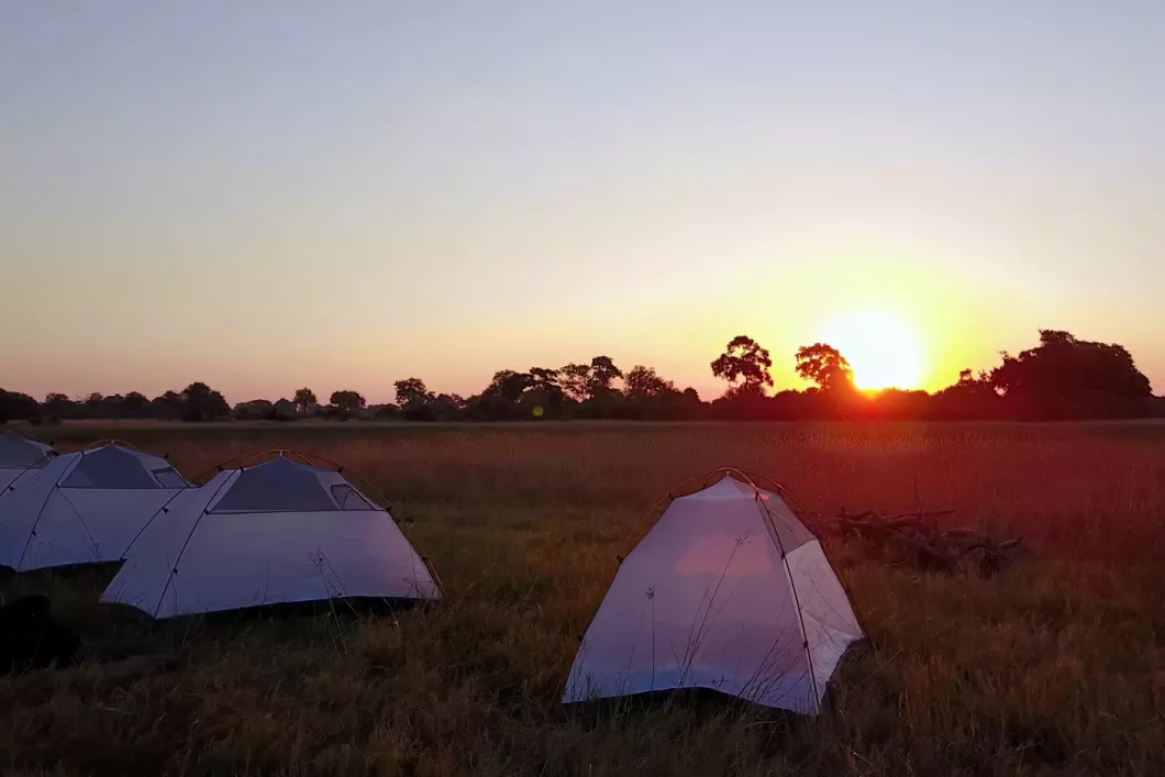 naturkurs-botswana-track-and-trail-wilderness-camp-delta-natucate