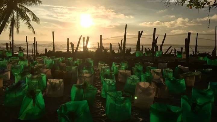 erfahrunsgbericht-costa-rica-praktikum-kundenfotos-artenschutz-lager-natucate