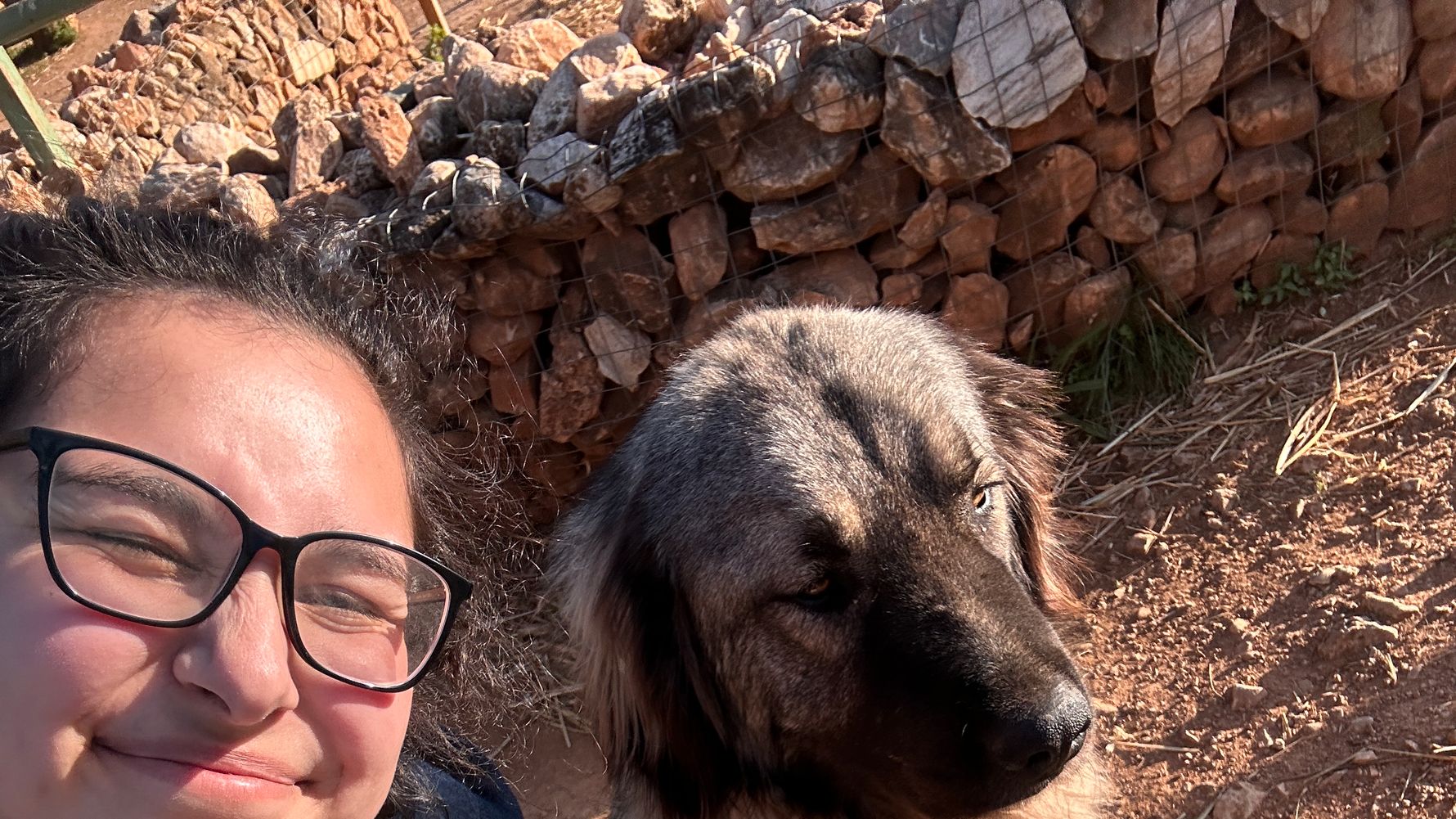 natucate-erfahrungsbericht-griechenland-tierschutz-jasira-hund-selfie