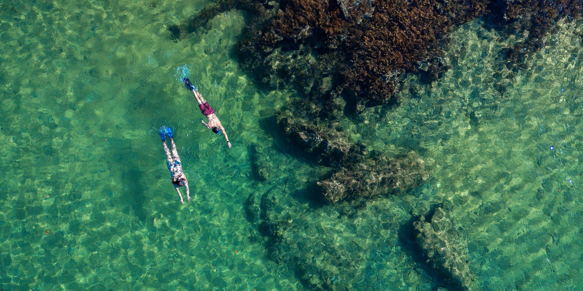 A bird's-eye view of two swimmers