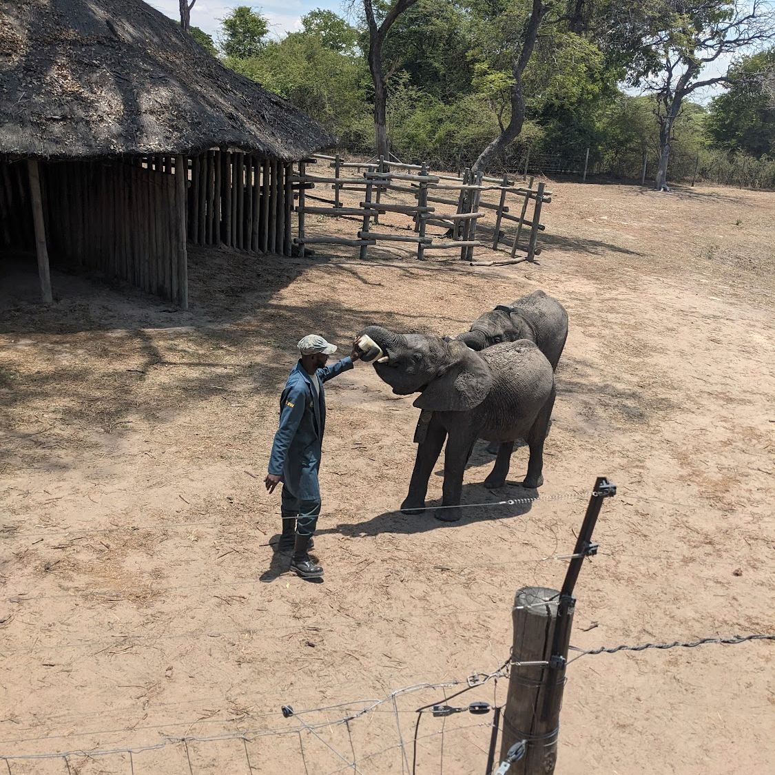 natucate-blog-review-sambia-klara-sanctuary