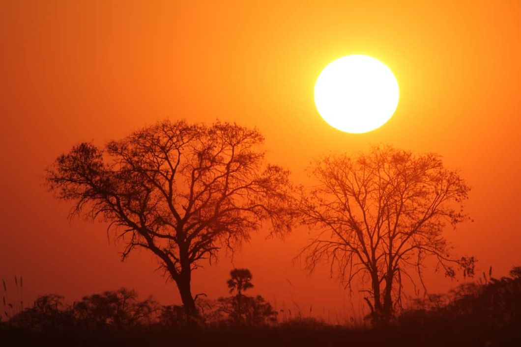 safari-botswana-expedition-okavango-delta-sonnenuntergang-baeume-natucate