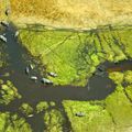 reiseorte-botswana-chiefs-island-okavango-delta-natucate