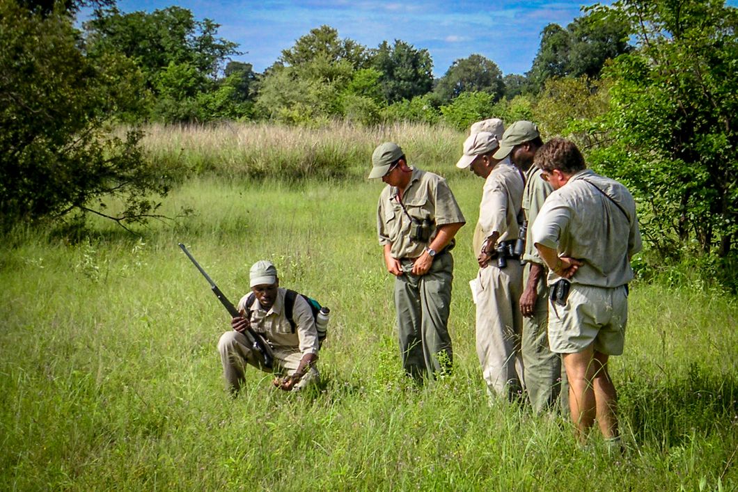 Als Teil der Rangerausbildung erklaert ein Guide seinen Studenten das Spurenlesen in Botswanas Busch