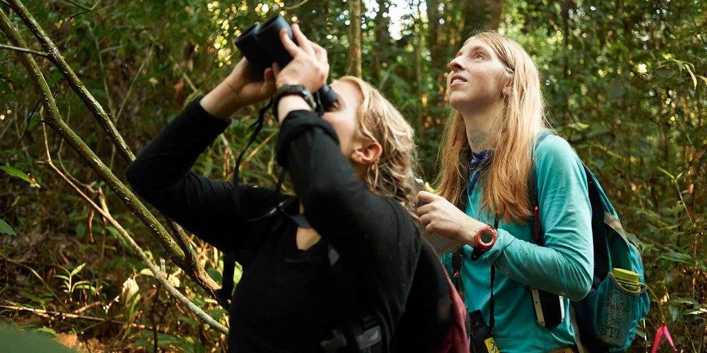 Zwei Teilnehmerinnen beobachten das Geschehen im Regenwald mit einem Fernglas