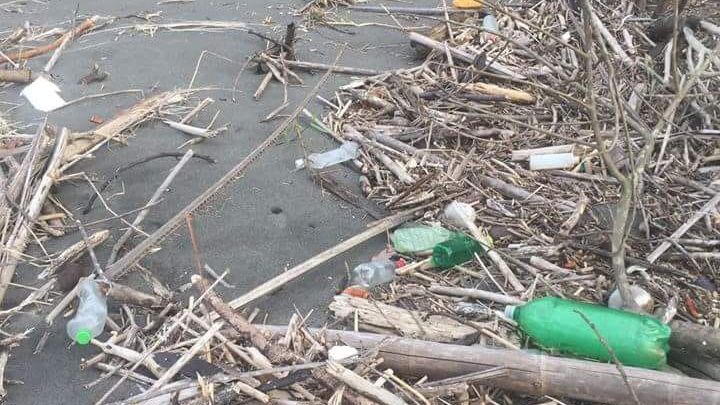 Taeglich werden immense Mengen Plastikmuell an die Straende der Weltmeere angespuehlt