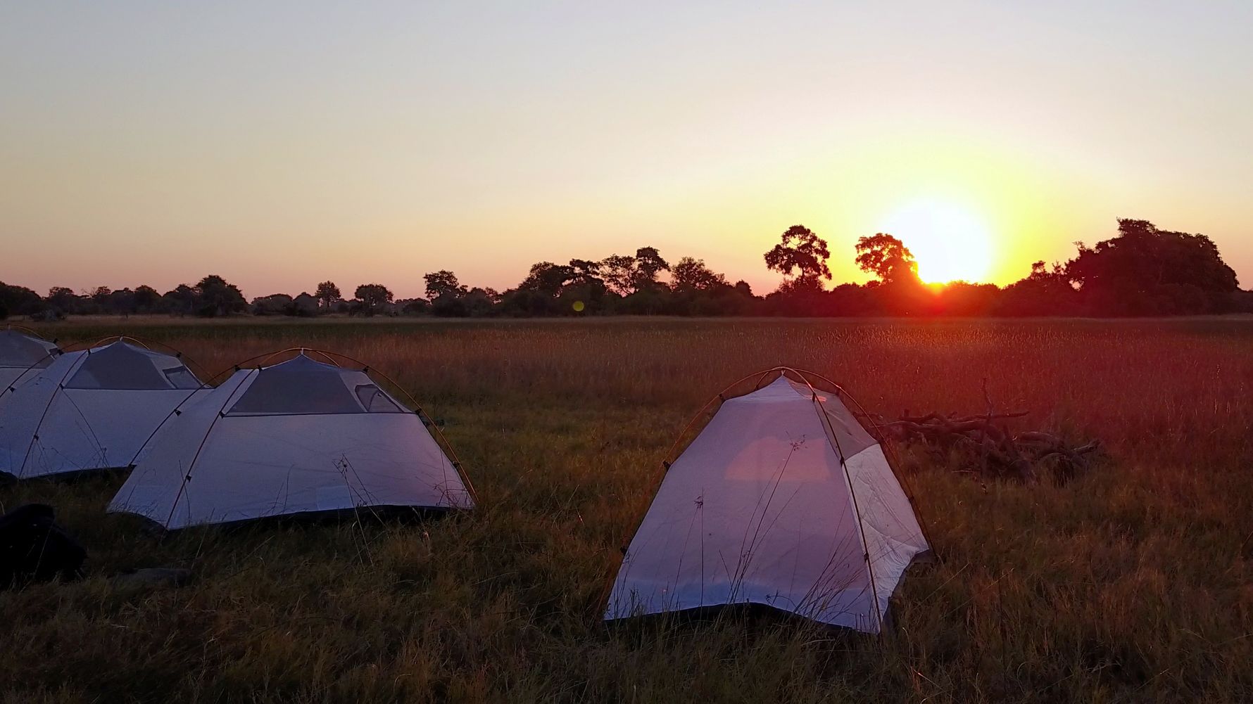 landingpage-african-guide-academy-botswana-okavango-delta-zelte-natucate
