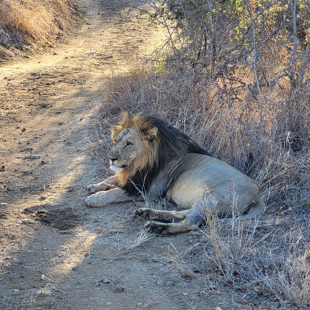 freiwilligenarbeit-siyafunda-julia-landschaft-lowe